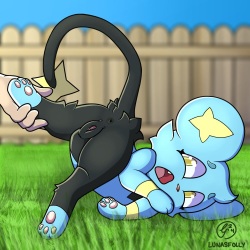 shinx