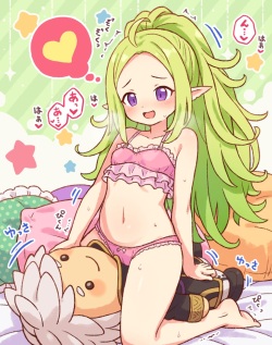 onyhakase - Nowi