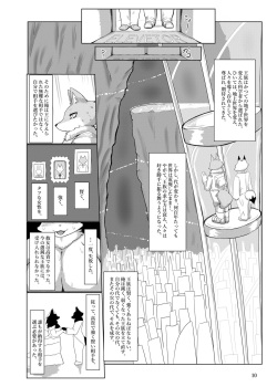(Kemoket 15) [CoCoLoCo Note (Cocolog)] COURTSHIP page 9