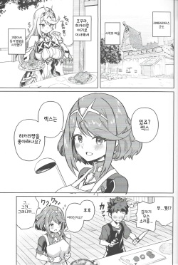 (C101) [Solosimeji (Bunapi 397 Yen)] Ecchi ga Shitai Hikari to Homura | 야한게 하고 싶은 히카리와 호무라 (Xenoblade Chronicles 2) [Korean] page 2