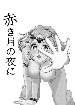 [Meitaro]Shinkan sanpuru akaki tsuki no yoru ni(The Legend of Zelda) page 2