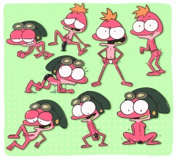 Amphibia