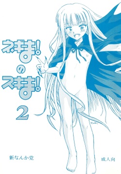 Negima! no Sukima! 2