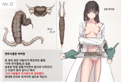 Mushi Research Report No.12 [Korean] page 1