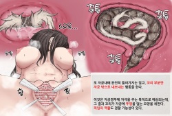 Mushi Research Report No.12 [Korean] page 4