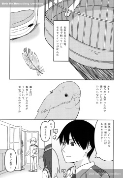 [White Identity (Onguuchi)]  Kishinami: Marine Snow   (Kantai Collection -KanColle-)  [Digital] page 2