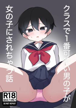 Kurasu de Ichiban Kawaii Otokonoko ga Onnanoko ni Sarechau Hanashi