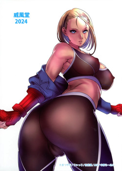 (C104) [Ifudou (Tamatsuyada, JUN, Nakano Ramen, Judge)] Camichin HIGH GRADE DOLLS (Street Fighter) page 2