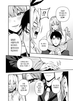 [Ikihaji Hummingbird (Amano Don)] GALS SHOWDOWN ((Goddess of Victory : Nikke) [Digital] [Korean] page 7