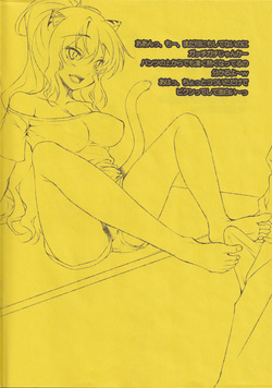 [clesta (Cle Masahiro)] Tora no ashi page 4