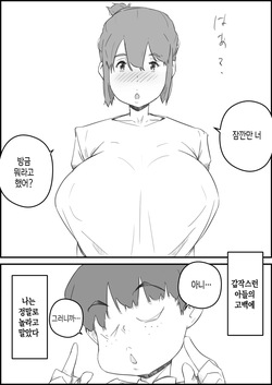 [Hirekatsu] Hajimete wa, Kaa-san de... Haha to Musuko no Manatsu no Himegoto | 처음은, 엄마로… 엄마와 아들의 한여름의 비밀 [Korean] [팀 숙녀] page 2