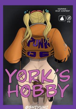 York’s Hobby