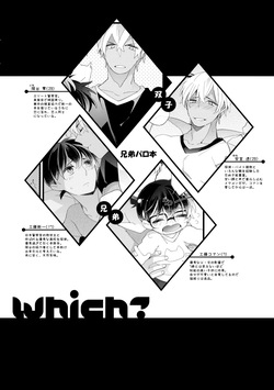 [SAKURAGASHI (Shinobu Koduki)] Which? (Detective Conan) page 3