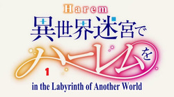 Isekai meikyuu de harem wo
